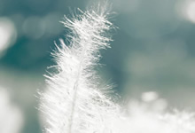 有機錫怎么去除